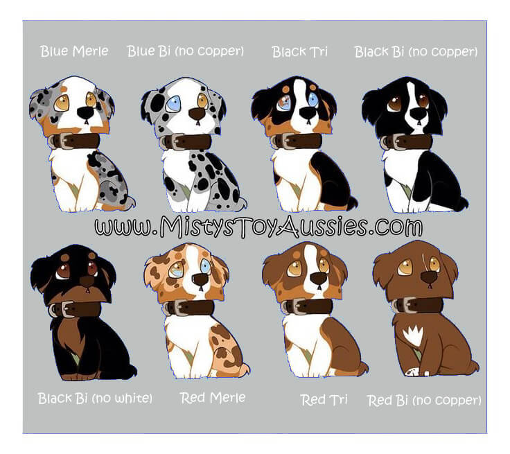 Mini Aussie Weight Chart