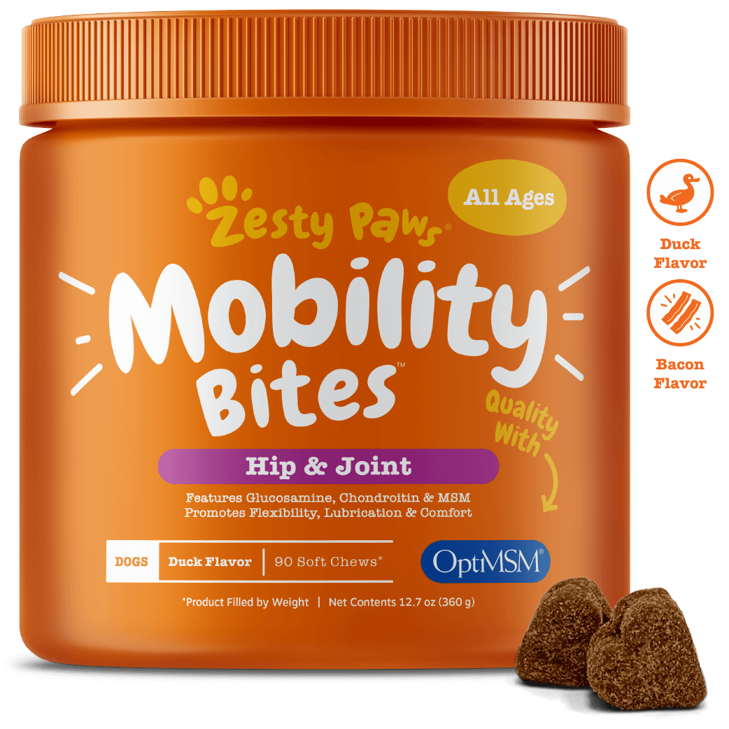 WebsiteMainImages AllAges MobilityBites 0150a146 98d8 4658 9690 C29e11fd945a WebsiteMainImages AllAges MobilityBites 0150a146 98d8 4658 9690 C29e11fd945a