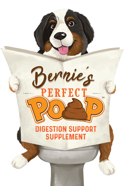 pf 92d82cb9 0fe8 46e7 a697 c22731ee6c39 bernieontoiletbowl400x601 pf 92d82cb9 0fe8 46e7 a697 c22731ee6c39 bernieontoiletbowl400x601
