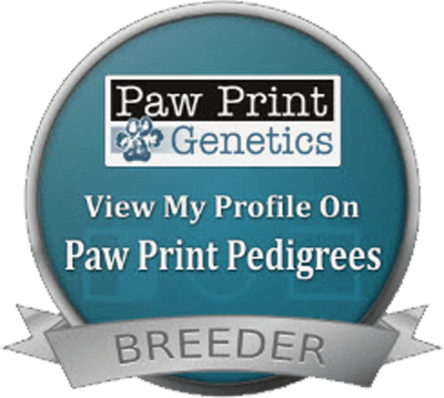 2pawprintsgenetics