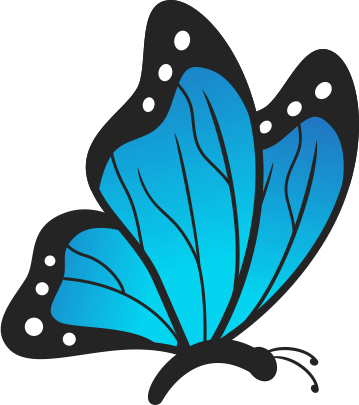 butterfly butterfly