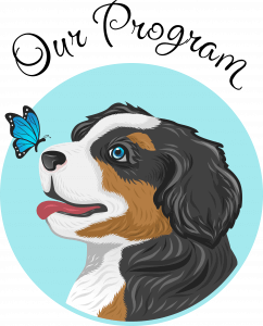 icon 1 with text