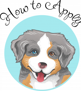 icon 2 with text