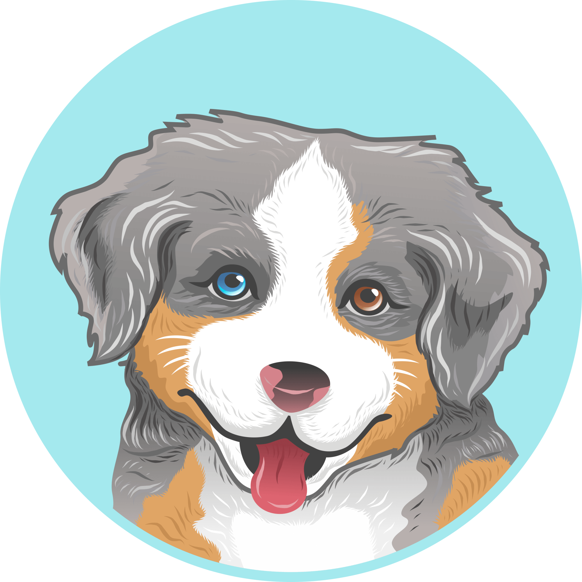 icon 2 icon 2