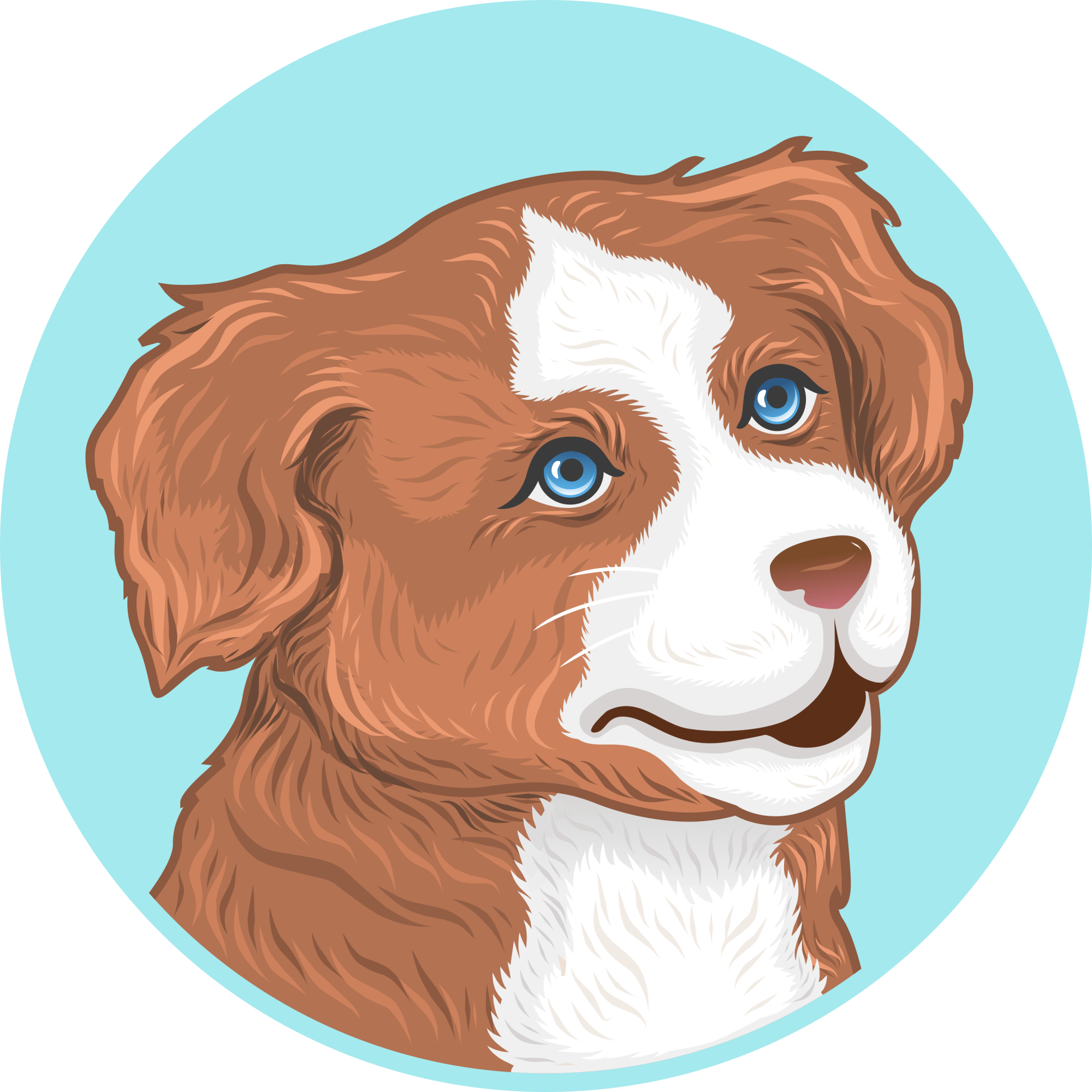 icon 3 icon 3