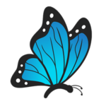 butterfly butterfly