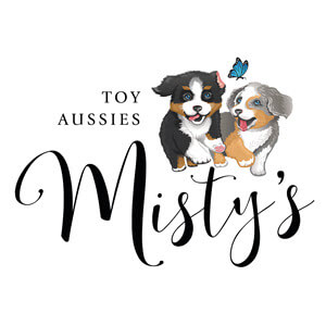 Toy & Mini Aussie Puppies • Australian Shepherd Breeder