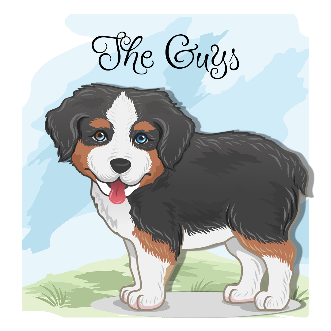 Toy Australian Shepherd Parents | Misty's Toy Aussies