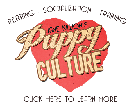 puppy culture heart