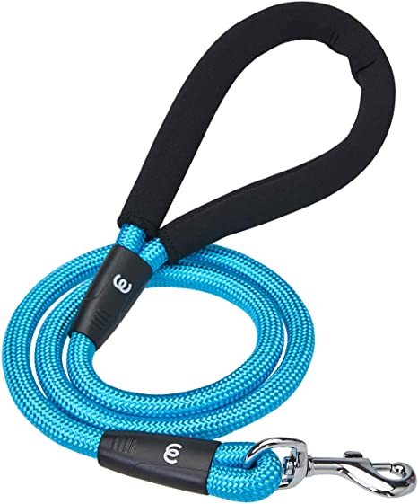 leash leash