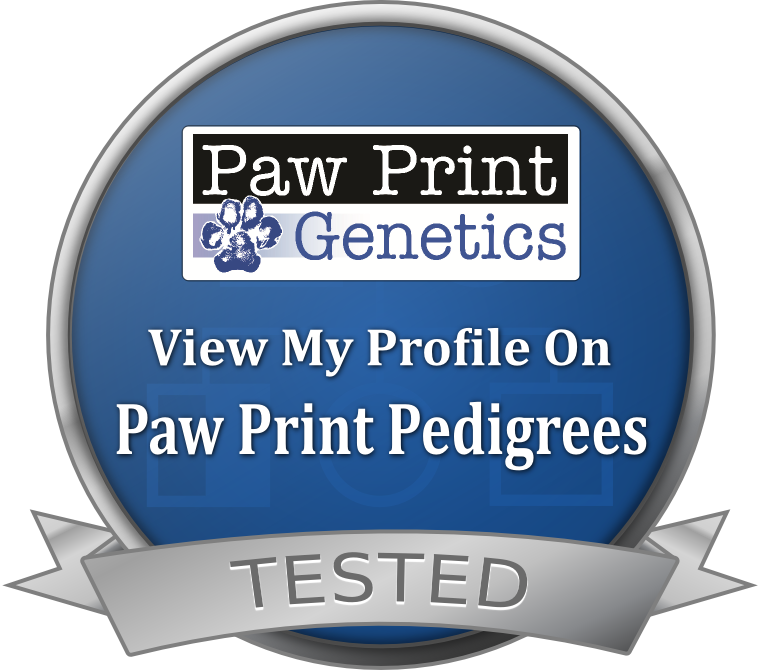 Pw Print Genetics