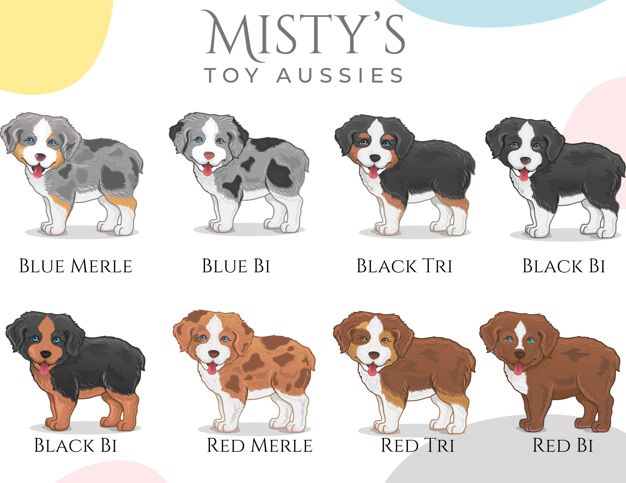 Toy Aussie Coat Colors