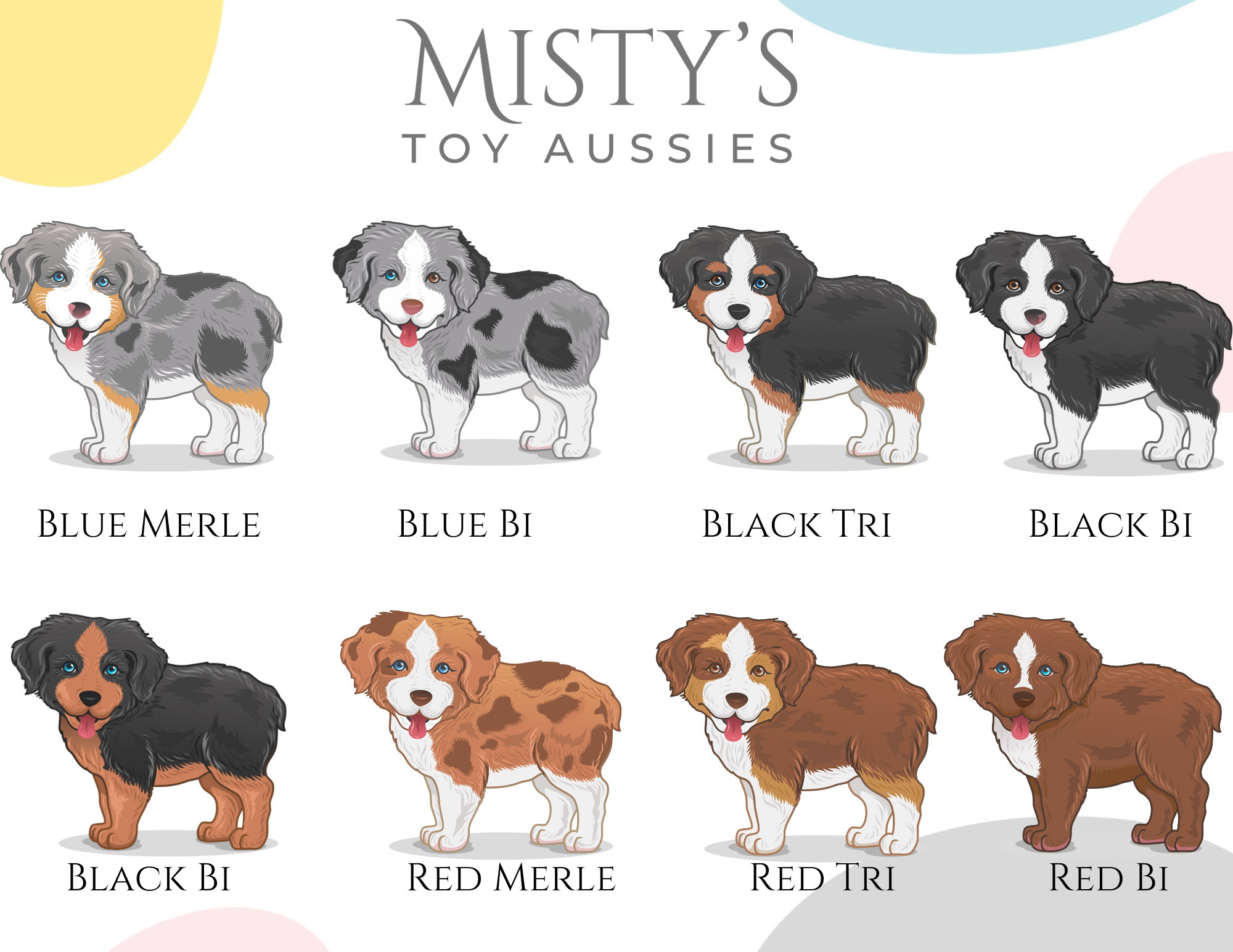 https://www.mistystoyaussies.com/wp-content/uploads/2023/08/mistys-toy-aussies-web-puppies-coat-colors.png