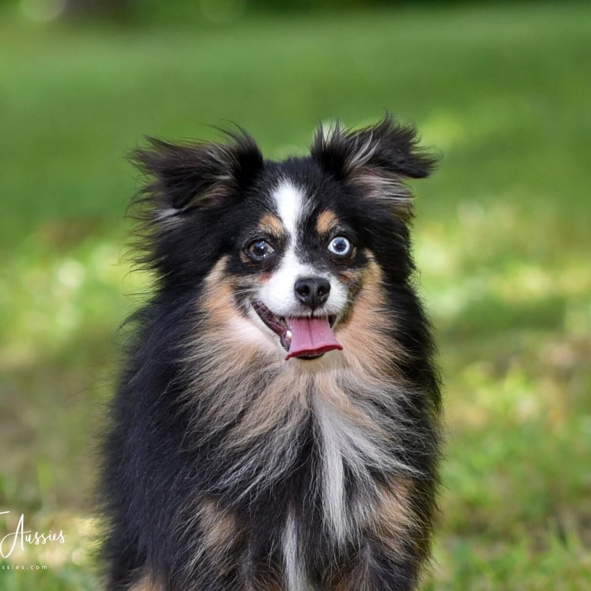 DSC 5719.1 3 Days