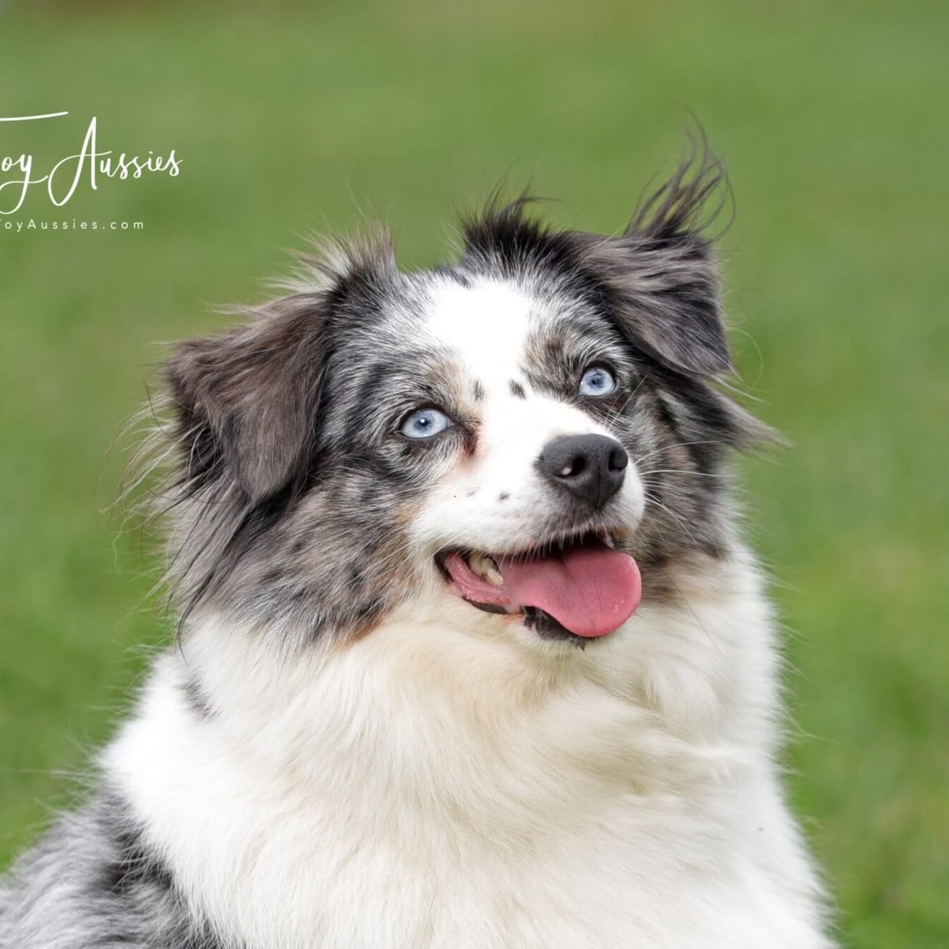 DSC 6516.1 3 Weeks